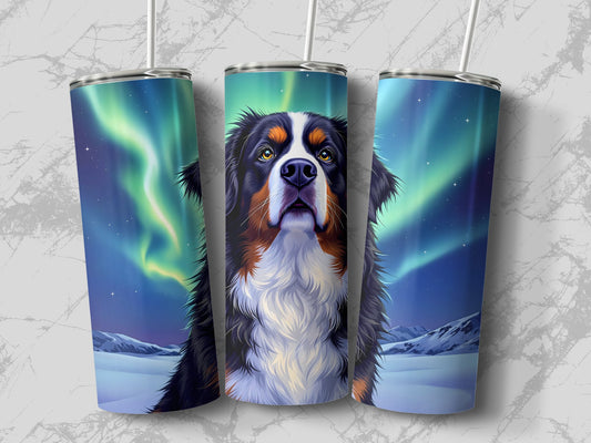 20fb4410-6583-41f7-9a07-6b0654a7102f