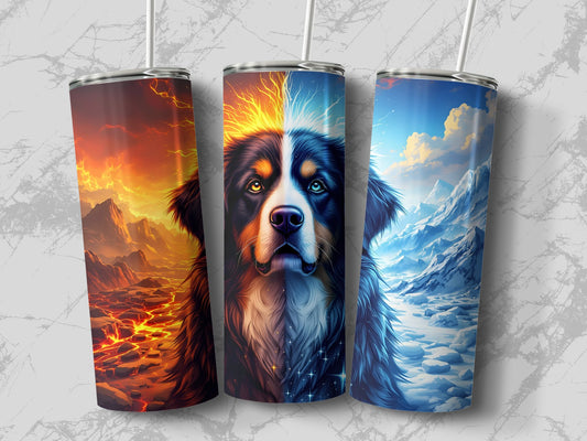 2e065545-a5db-448c-9072-68f5e98a35f7