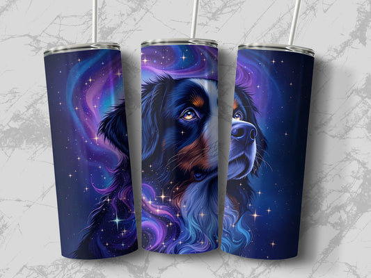 5648a946-4efd-4777-a476-7175eadcd3d0