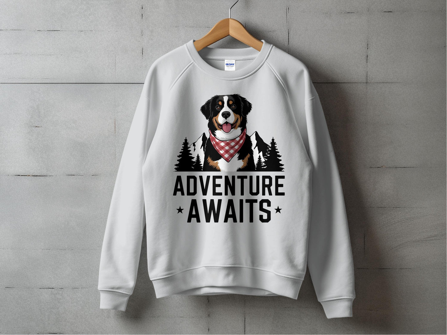 Adventure Awaits Dog Graphic Sweatshirt product
