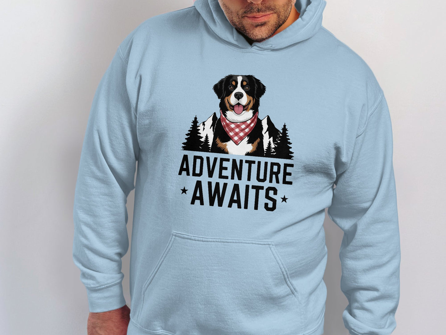 Adventure Awaits Hoodie For Outdoor Enthusiasts looking product type