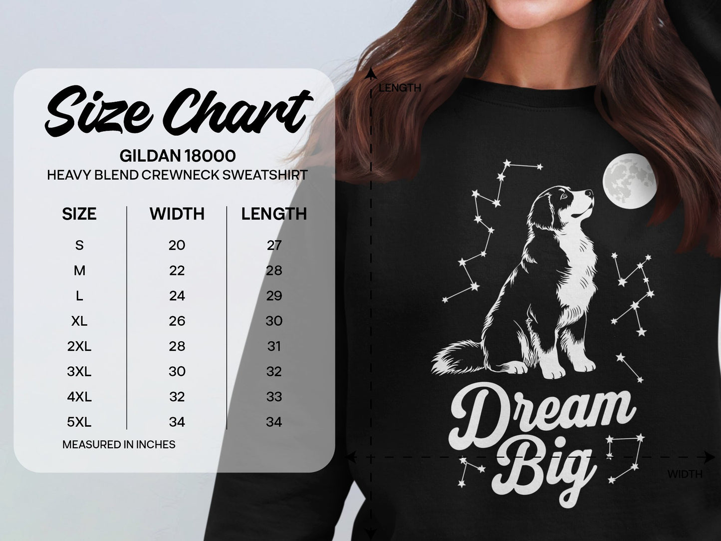 Dream Big Dog and Constellations Sweatshirt product type