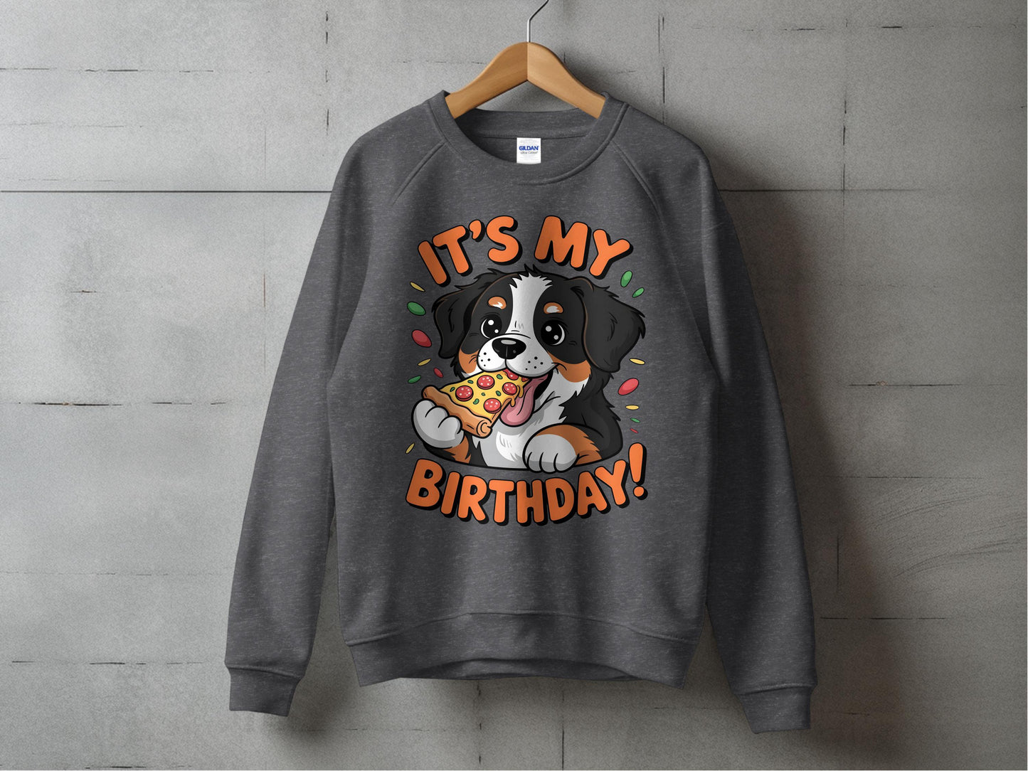 It's My Birthday Cute Dog Birthday Sweatshirt product type