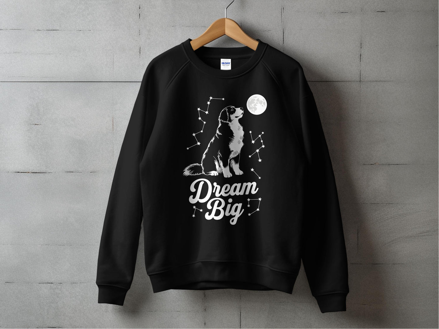 Dream Big Stargazing Dog Graphic Sweatshirt product