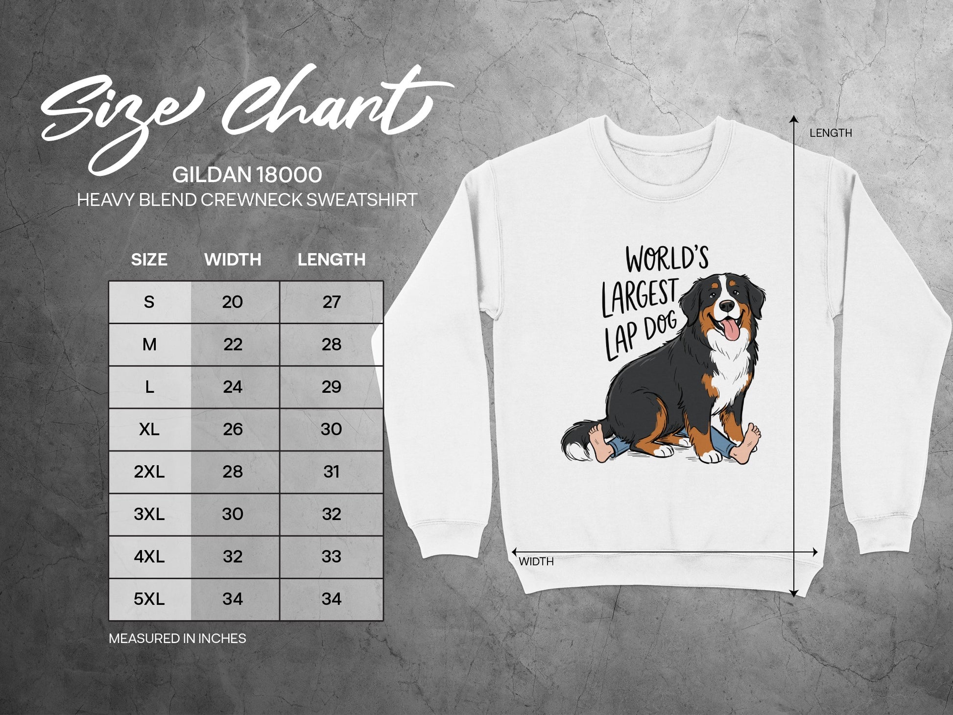 Gildan 18000 sweatshirt size chart with graphic of Bernese Mountain Dog and text.