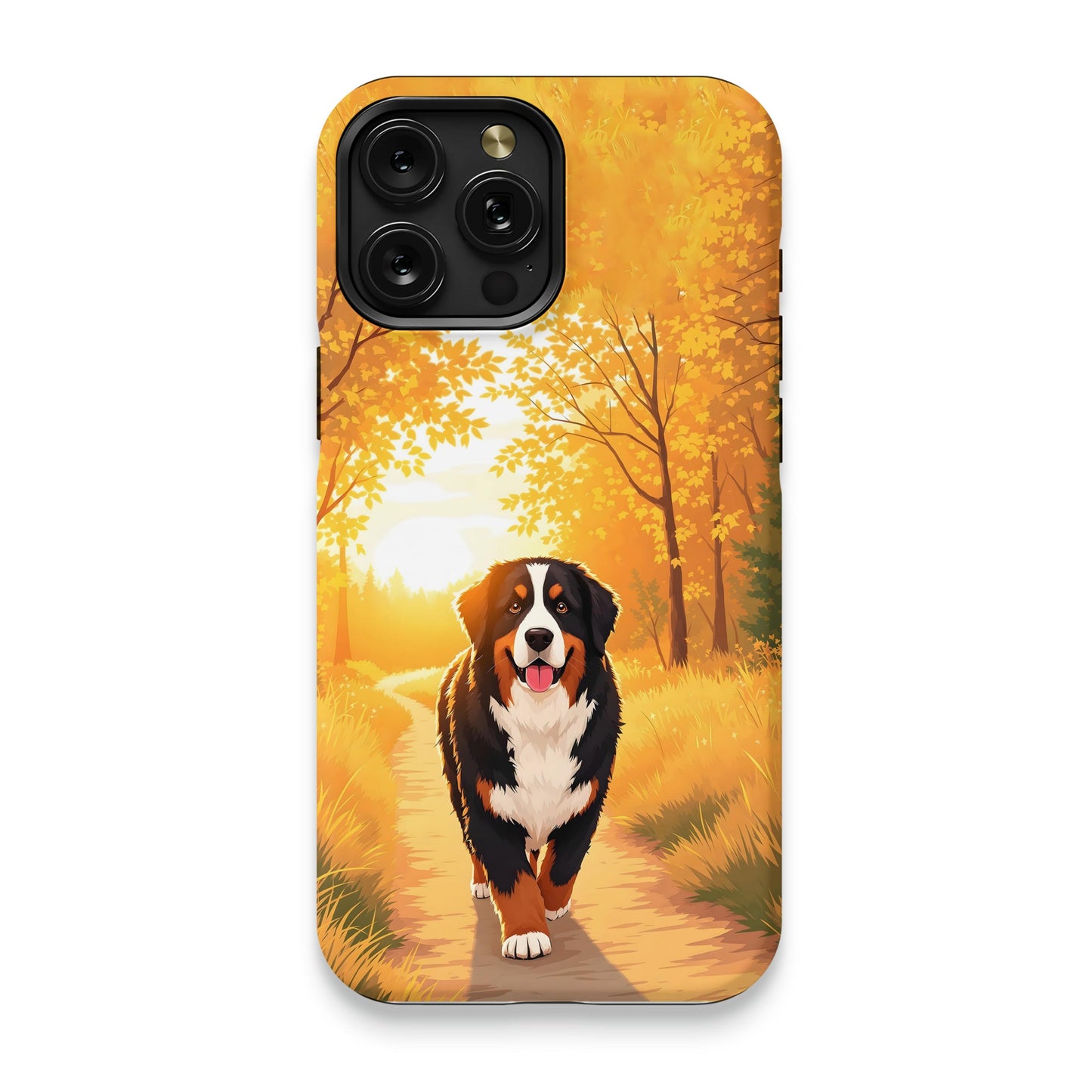 Autumn Walk with Bernese Mountain Dog product type