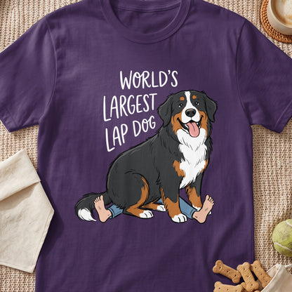 Bernese Mountain Dog with text "World's Largest Lap Dog".