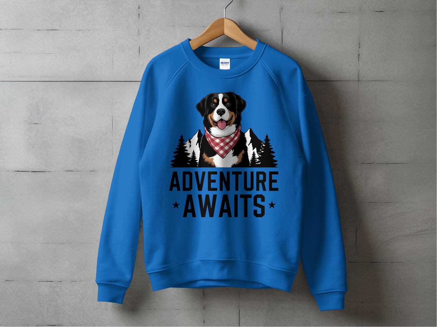 Adventure Awaits Dog Sweatshirt product