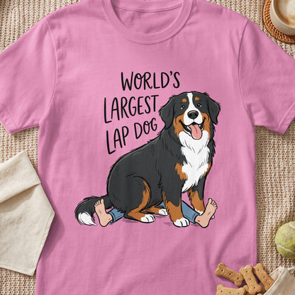 Bernese Mountain Dog graphic with text "World's Largest Lap Dog" on pink t-shirt.