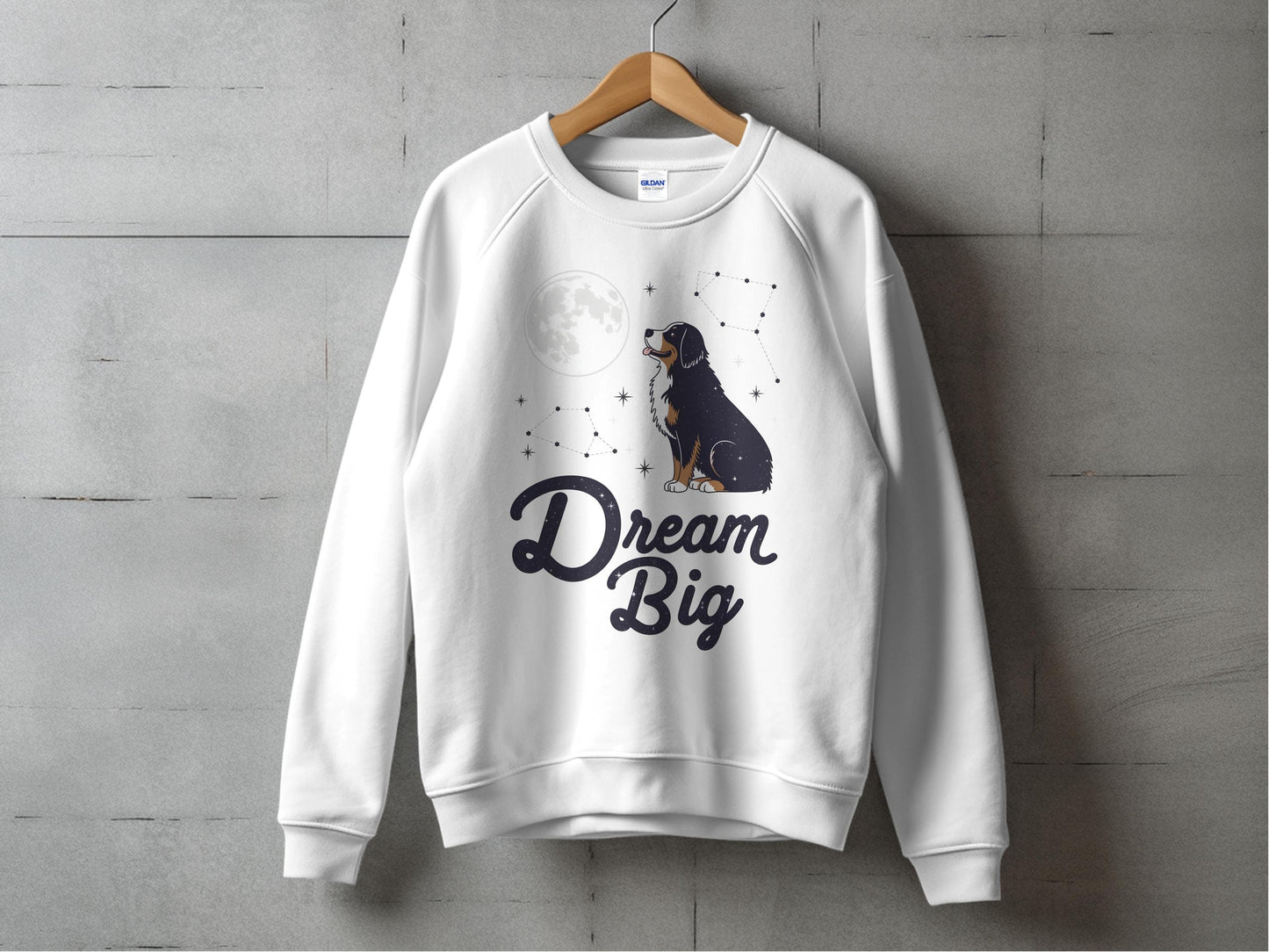 Inspirational Dream Big Sweatshirt product