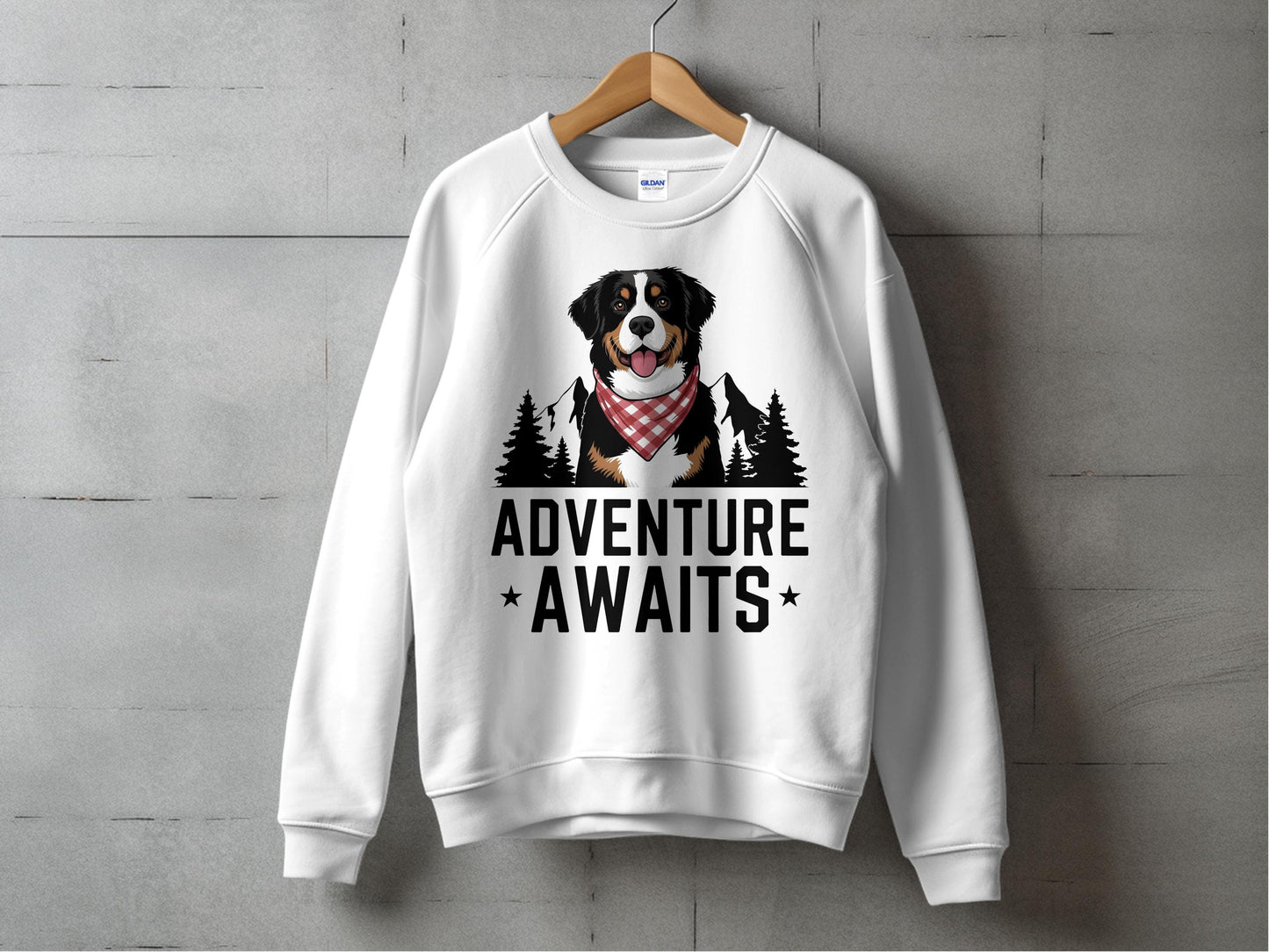 Adventure Awaits Graphic Sweatshirt product type