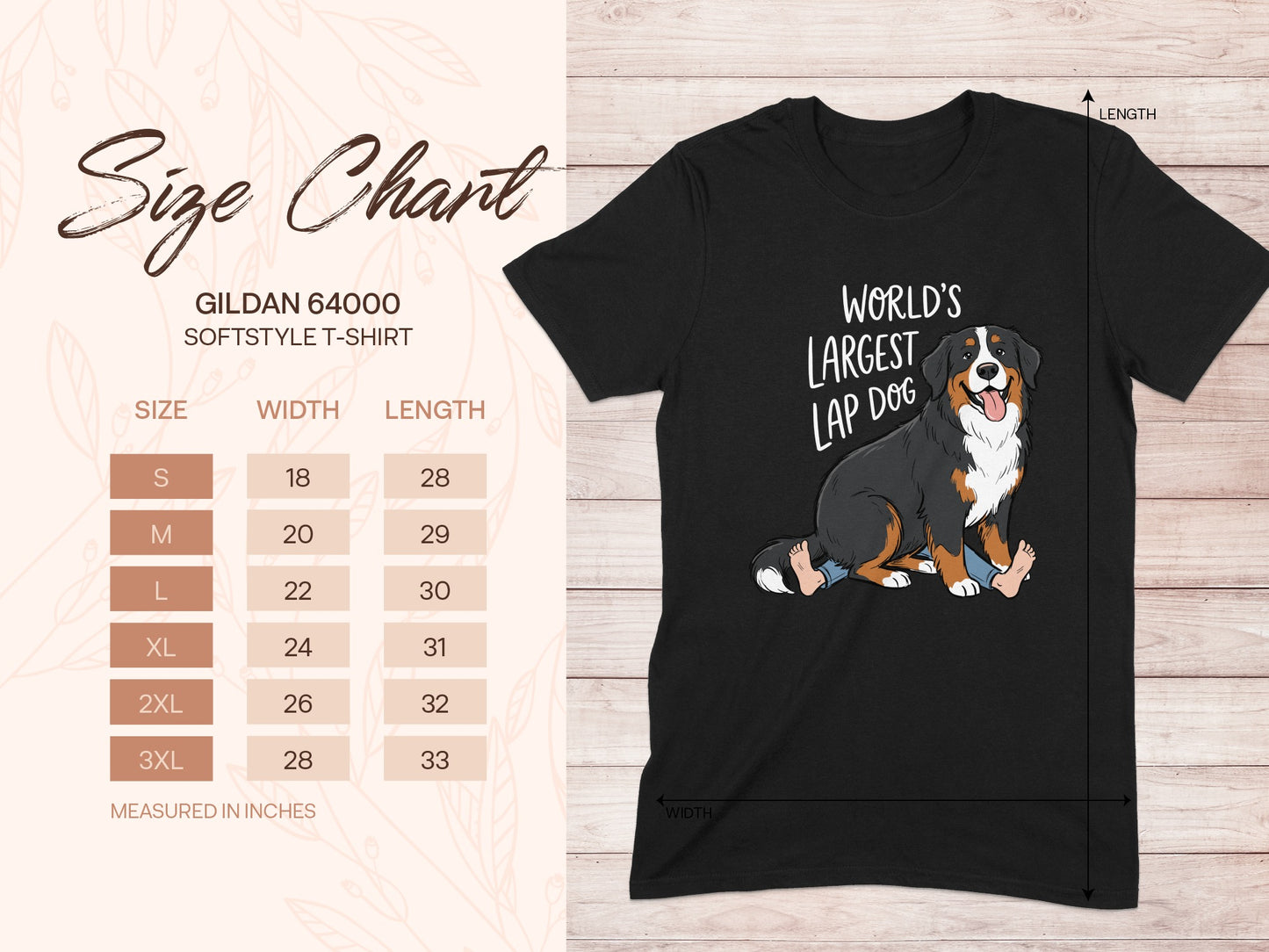 Gildan 64000 Softstyle t-shirt size chart with Bernese Mountain Dog graphic.