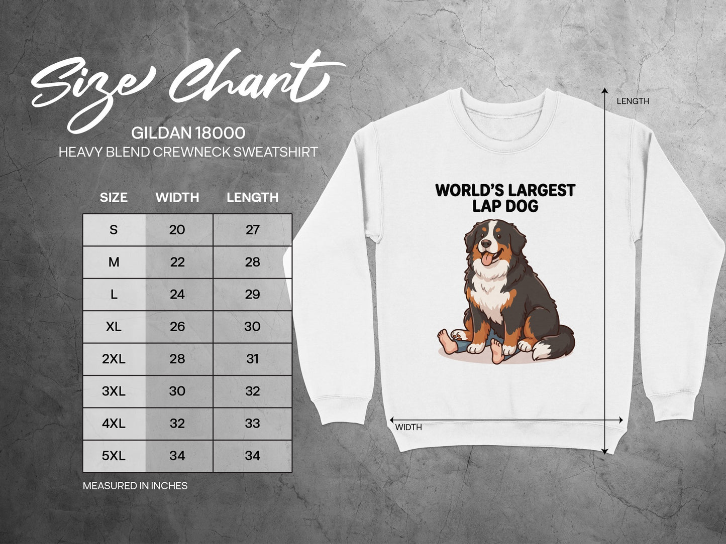 Gildan 18000 sweatshirt size chart with illustration of Bernese Mountain Dog.