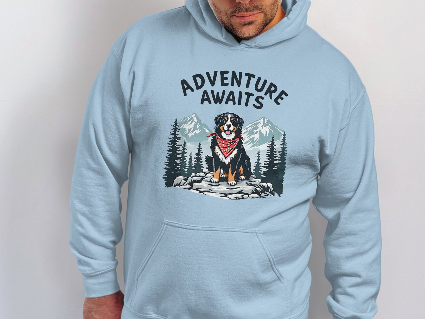 Adventure Awaits Mountain Dog Hoodie product