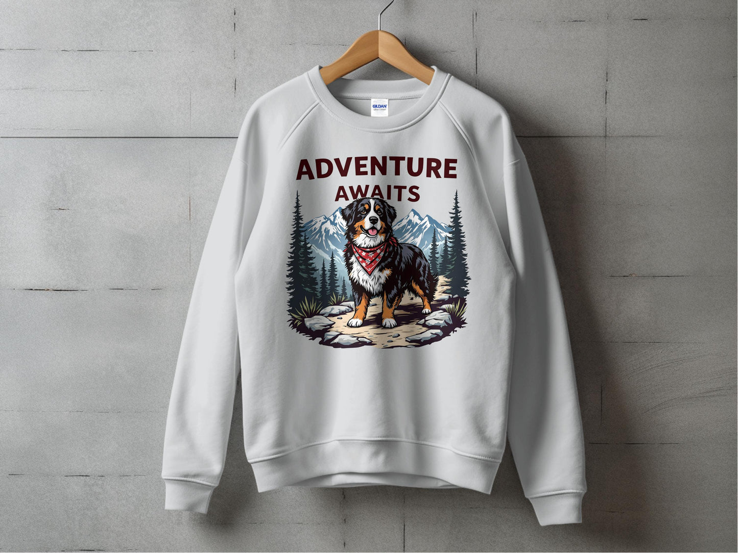 Adventure Awaits Dog Graphic Sweatshirt product