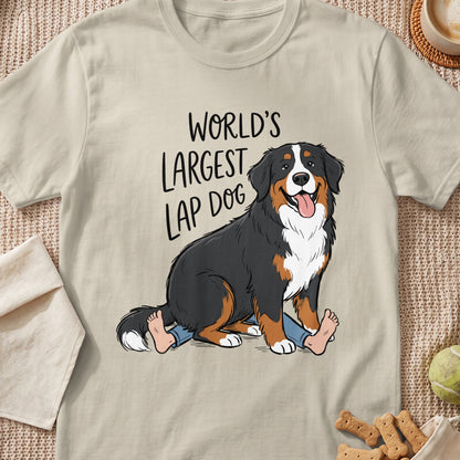 Bernese Mountain Dog with text "WORLD'S LARGEST LAP DOG" sitting on human legs.