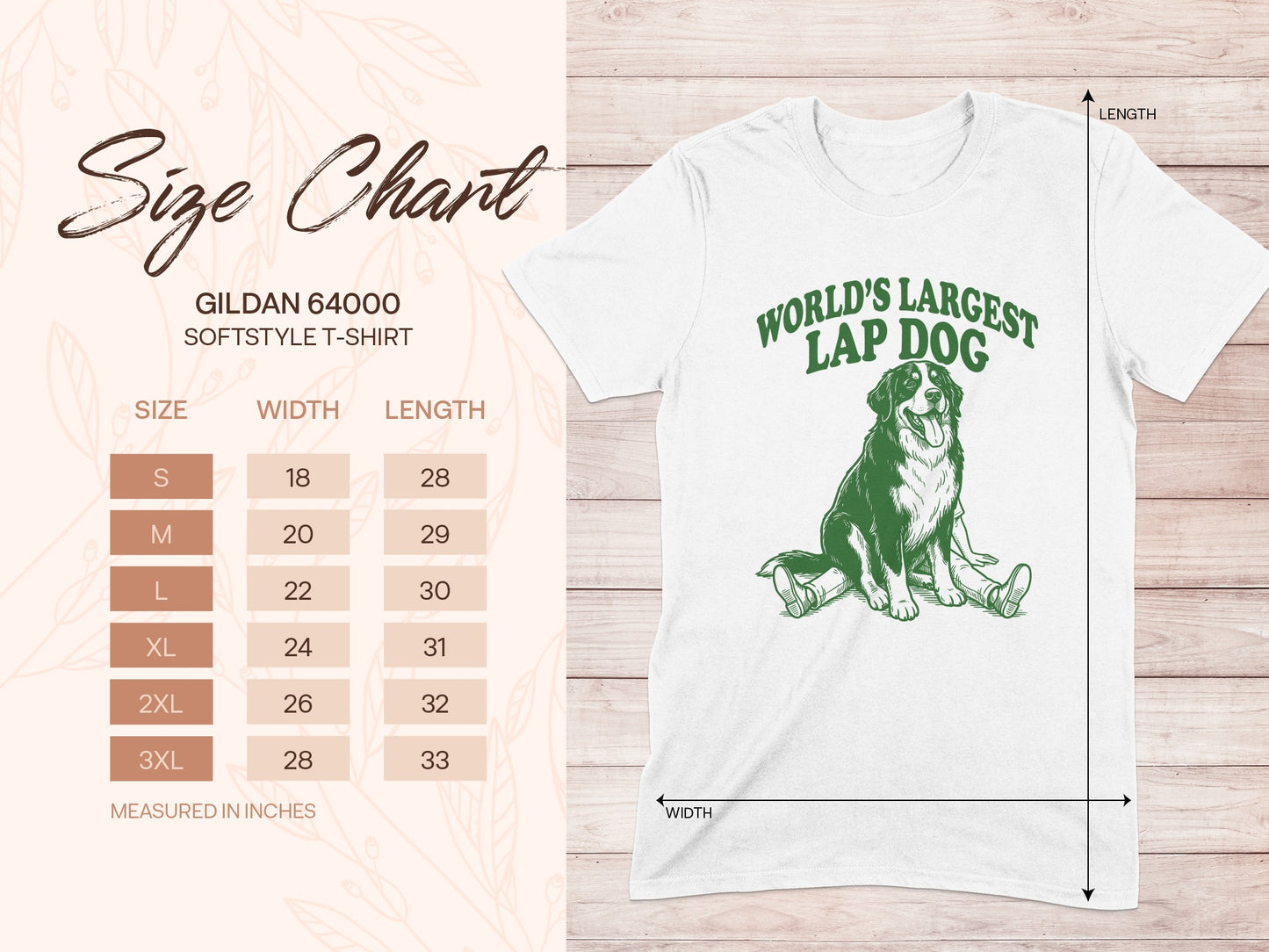 Size chart for Gildan 64000 Softstyle T-shirt with Bernese Mountain Dog graphic.