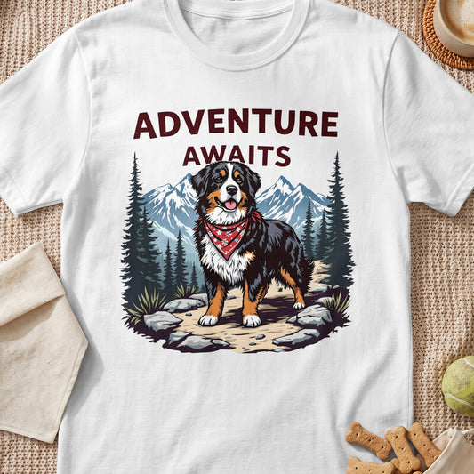Bernese Mountain Dog on path with mountains and trees, text "ADVENTURE AWAITS".
