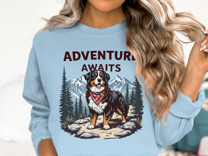 Bernese Mountain Dog wearing bandana on mountain path with text "ADVENTURE AWAITS".