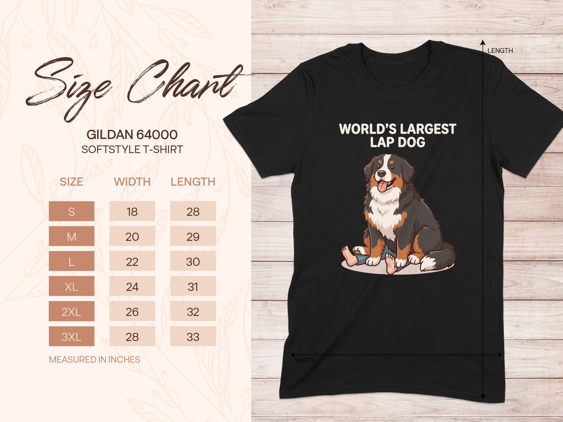 Gildan 64000 softstyle t-shirt size chart with Bernese Mountain Dog graphic.
