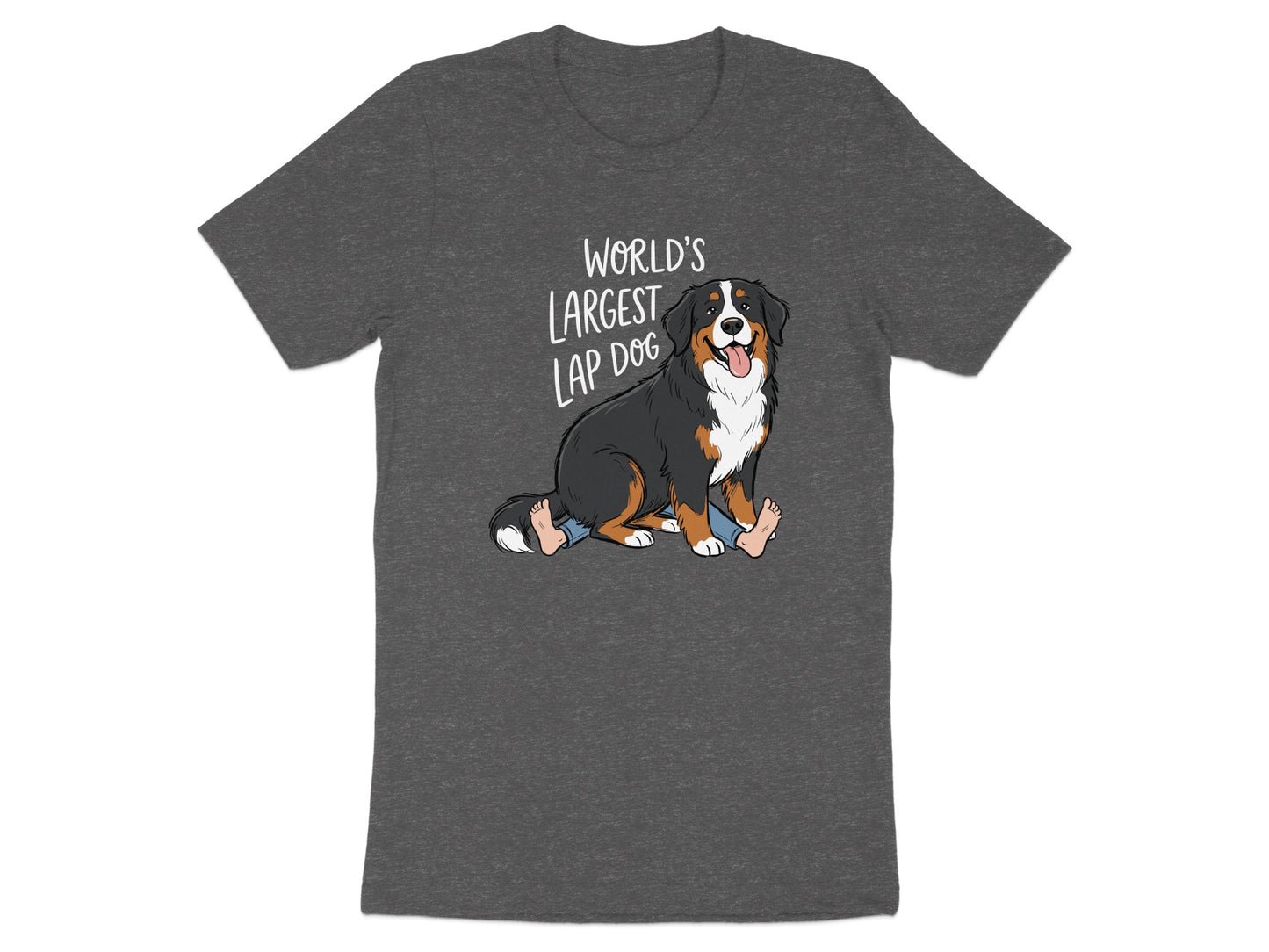 Bernese Mountain Dog sitting with legs in jeans and text "WORLD'S LARGEST LAP DOG".