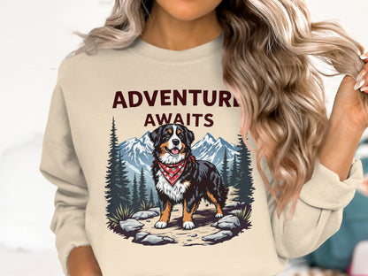 Bernese Mountain Dog wearing bandana on rocky path with pine trees and mountains; "ADVENTURE AWAITS" text.